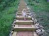 steps02_small.jpg